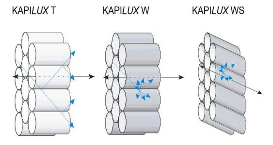 Kapilux kuva